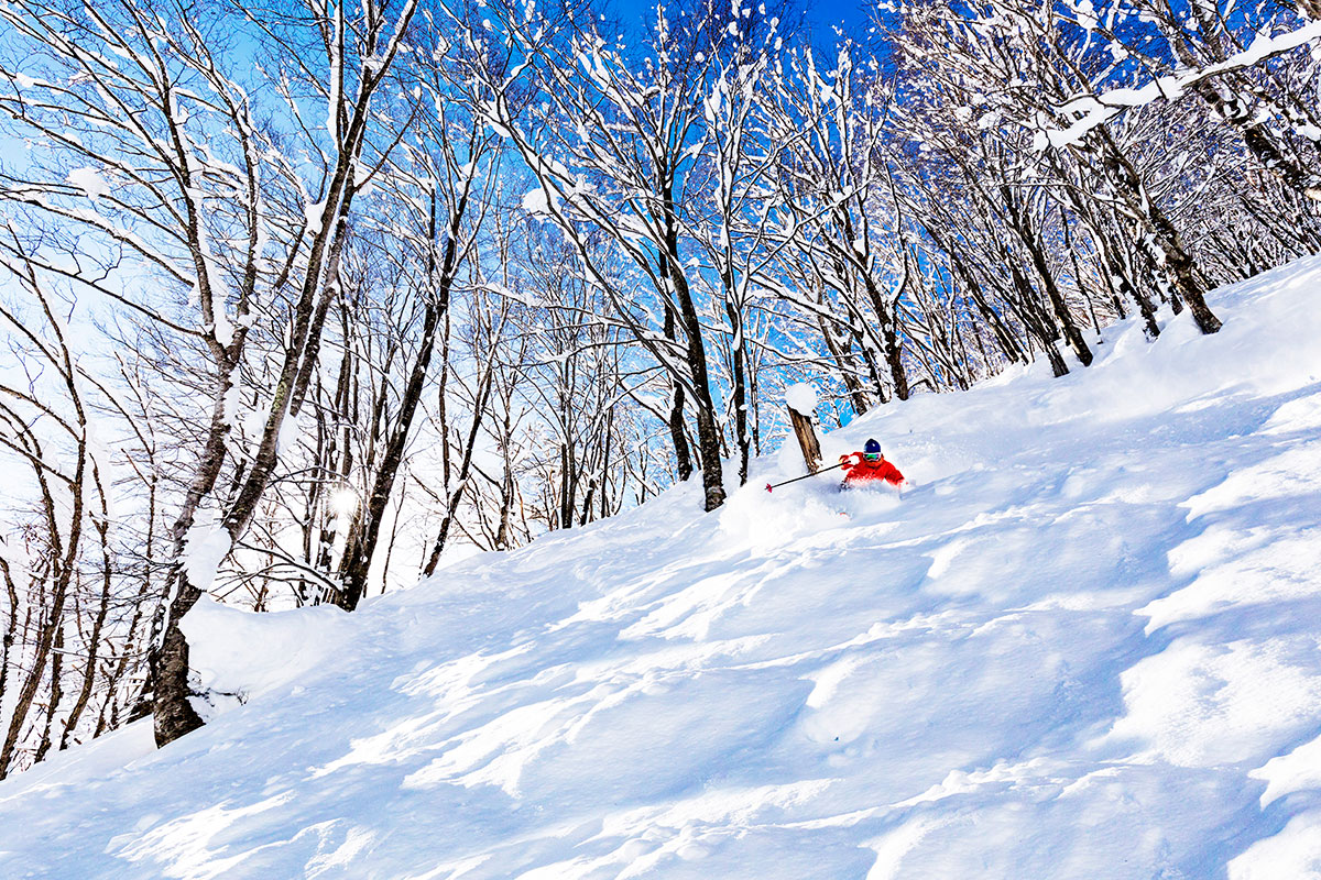 hakuba