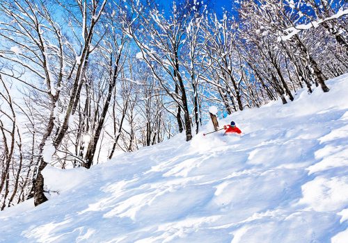 hakuba